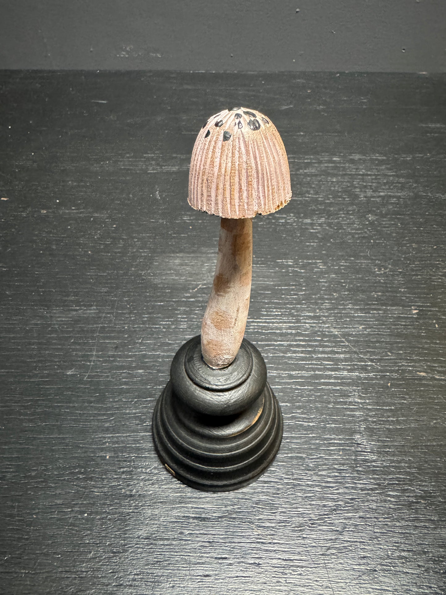 Mycology Early 1900s Mushroom / Fungus Specimens