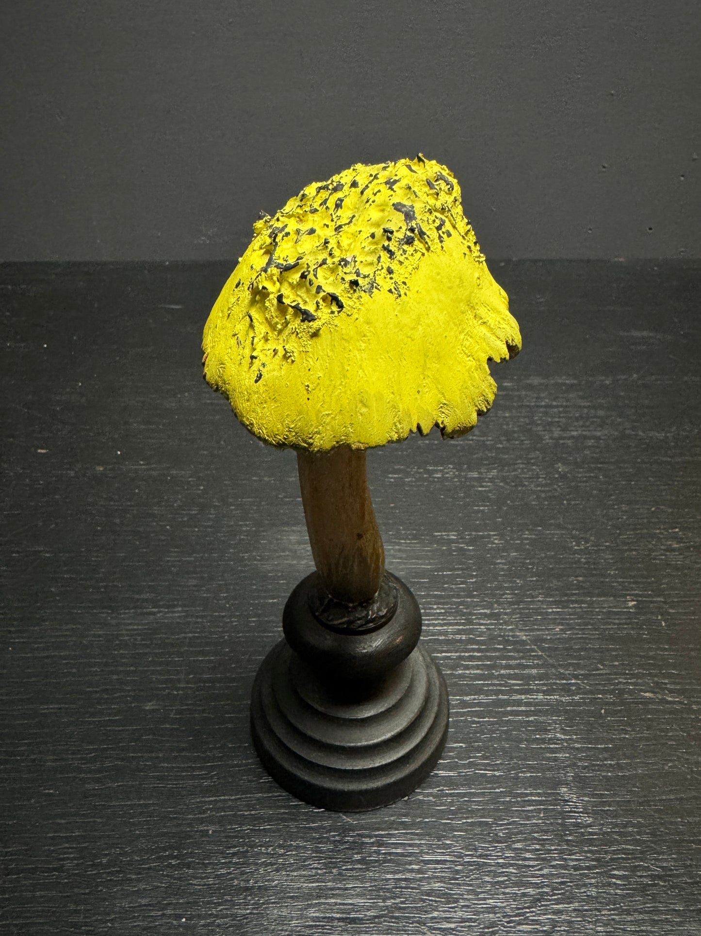 Mycology Early 1900s Mushroom / Fungus Specimens