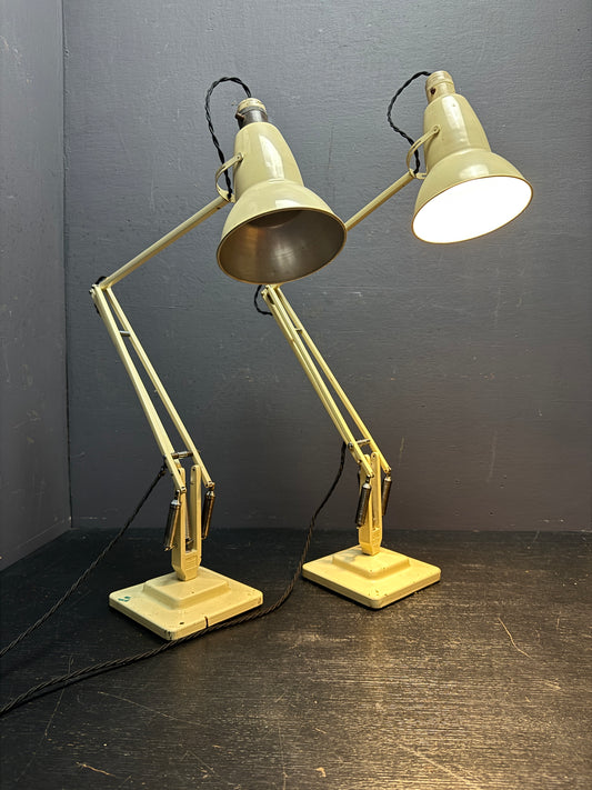 Herbert Terry 2 Step The 1227 Anglepoise Table Lamp