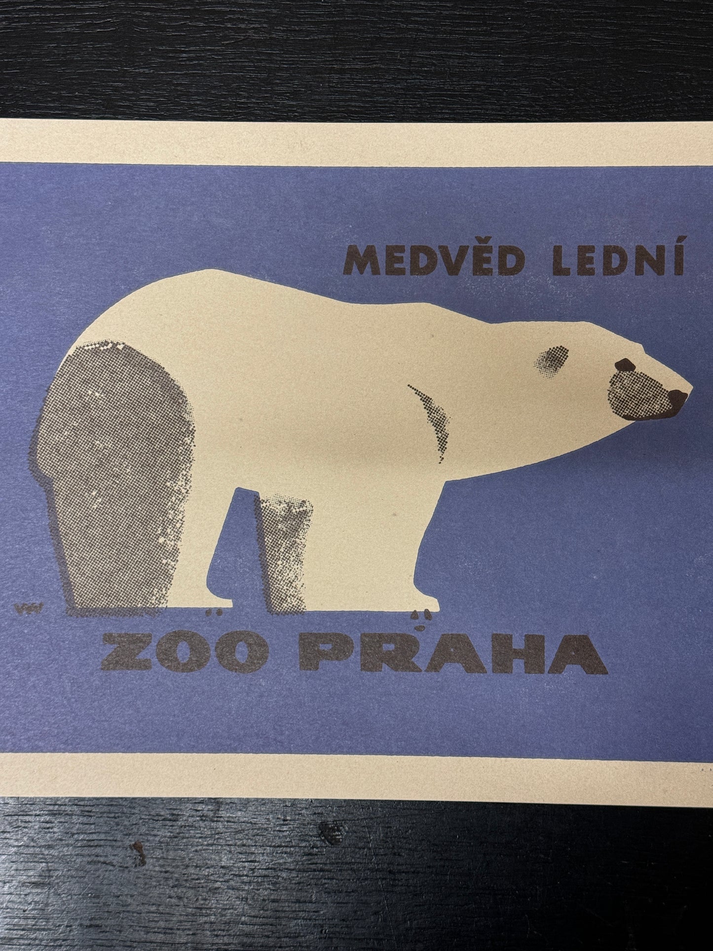 Limited Edition Czech Match Box Art Poster 85 of 240 Zoo Praha Polar Bear