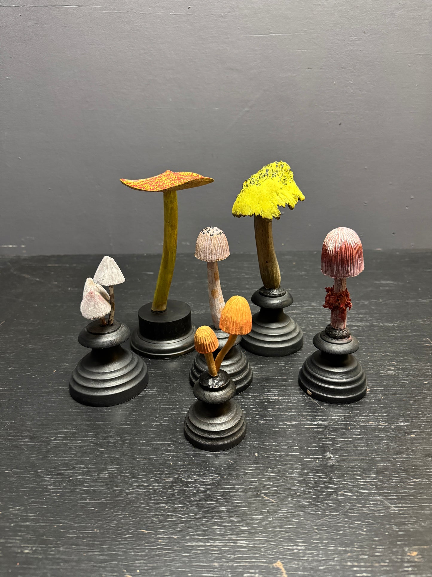 Mycology Early 1900s Mushroom / Fungus Specimens