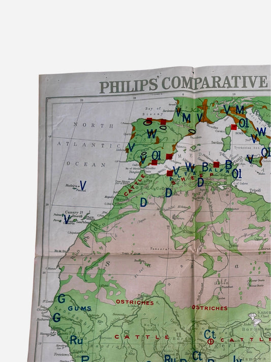 Philips Comparative Wall Atlas Of Africa Circa 1950s