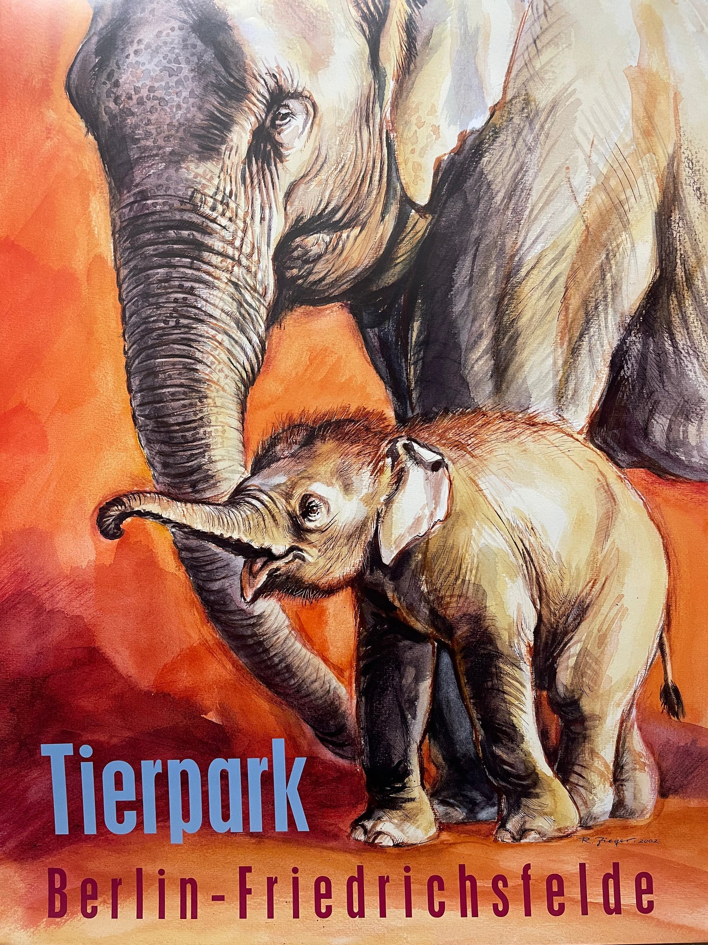 Rare Tierpark Berlin Elephants Original Zoo Poster By Reiner Zieger