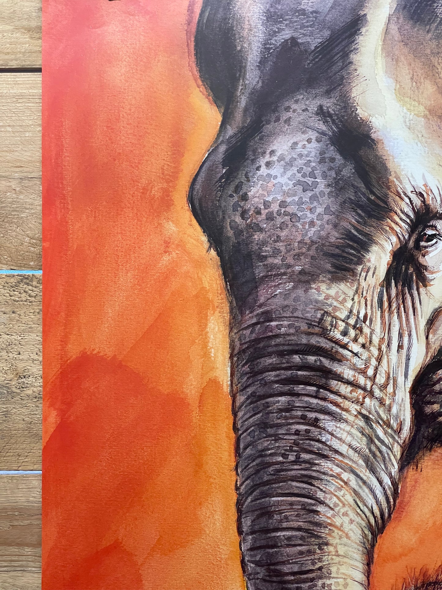 Rare Tierpark Berlin Elephants Original Zoo Poster By Reiner Zieger