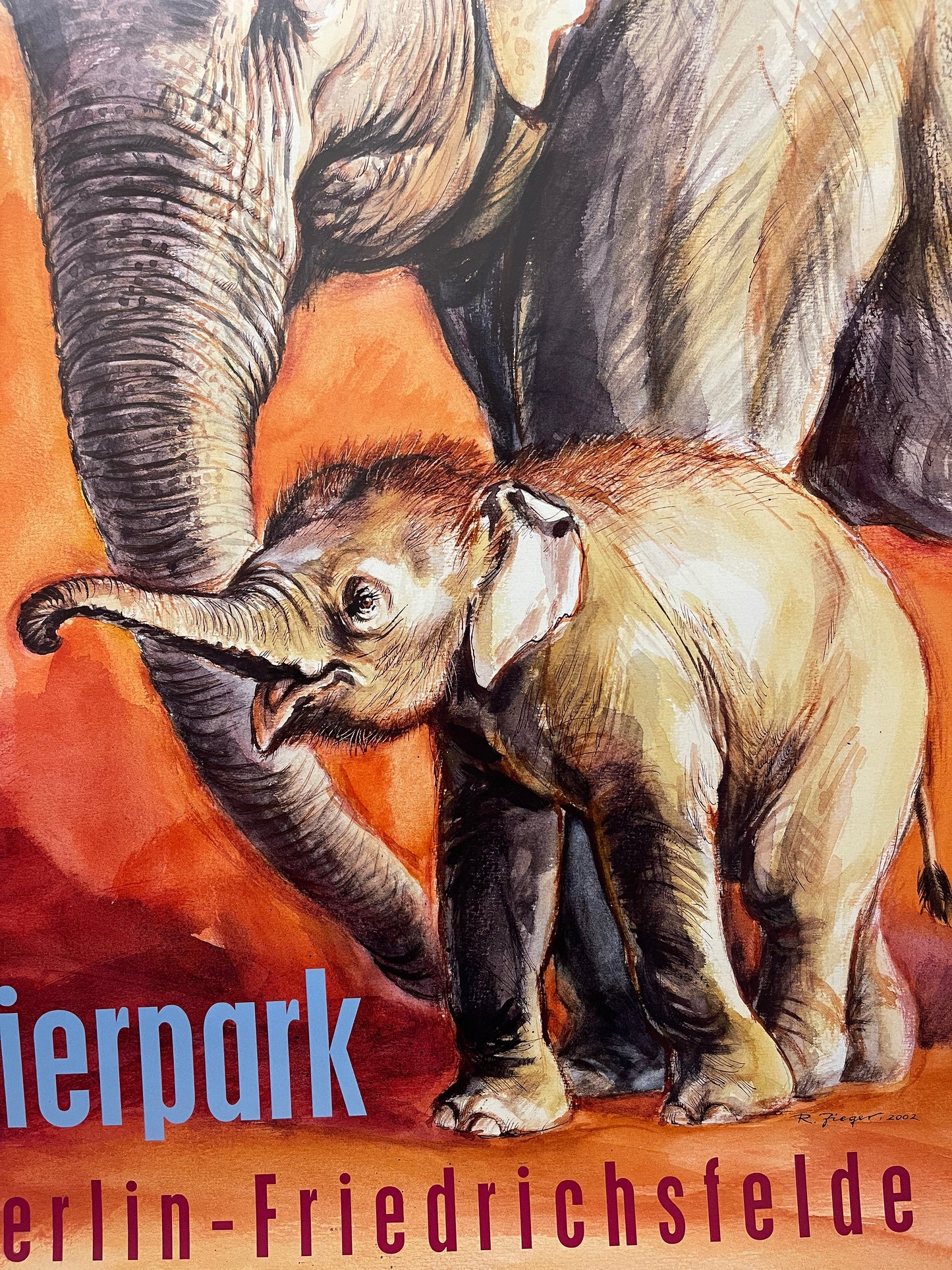 Rare Tierpark Berlin Elephants Original Zoo Poster By Reiner Zieger