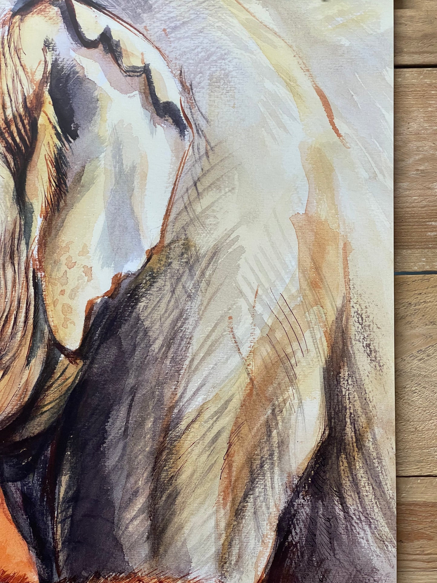 Rare Tierpark Berlin Elephants Original Zoo Poster By Reiner Zieger