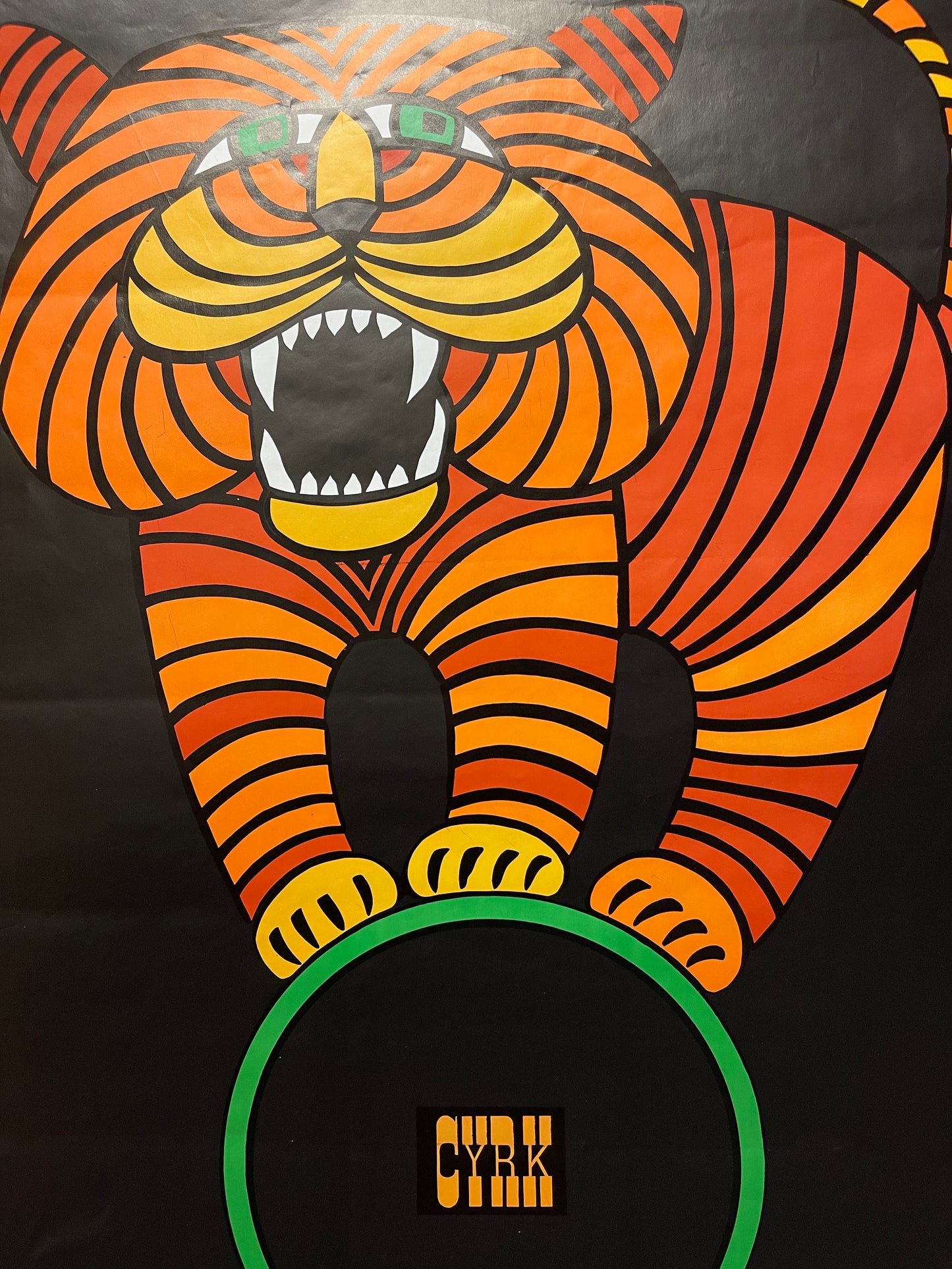 Vintage Polish Circus Poster Of A Tiger On A Wheel By Hilscher Hubert