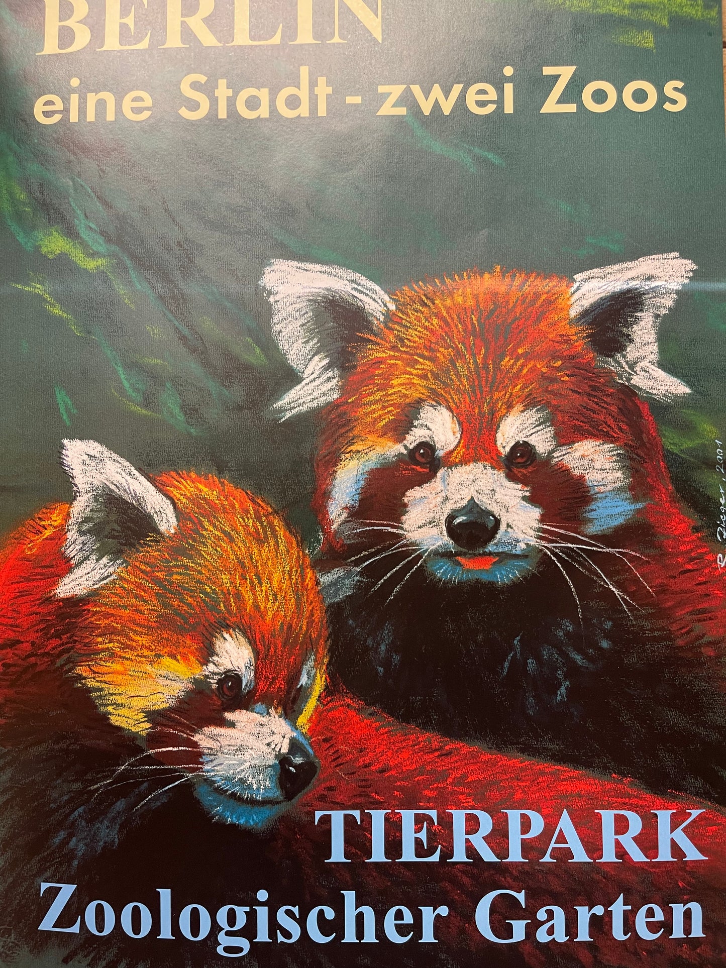 Rare Tierpark Berlin Original Zoo Poster Of Red Pandas By Reiner Zieger