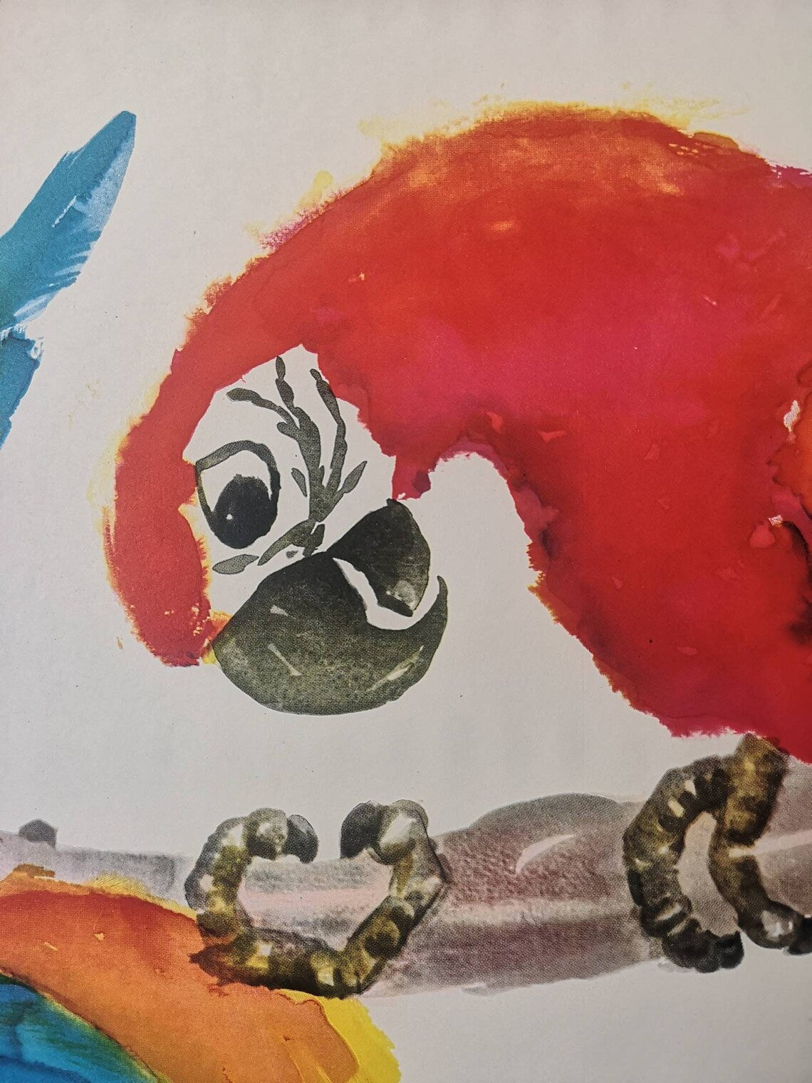 Vintage 1960s Tierpark Berlin Original Zoo Poster Advertising Of Macaw Parrots