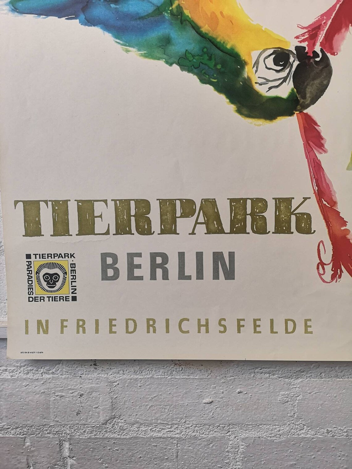 Vintage 1960s Tierpark Berlin Original Zoo Poster Advertising Of Macaw Parrots