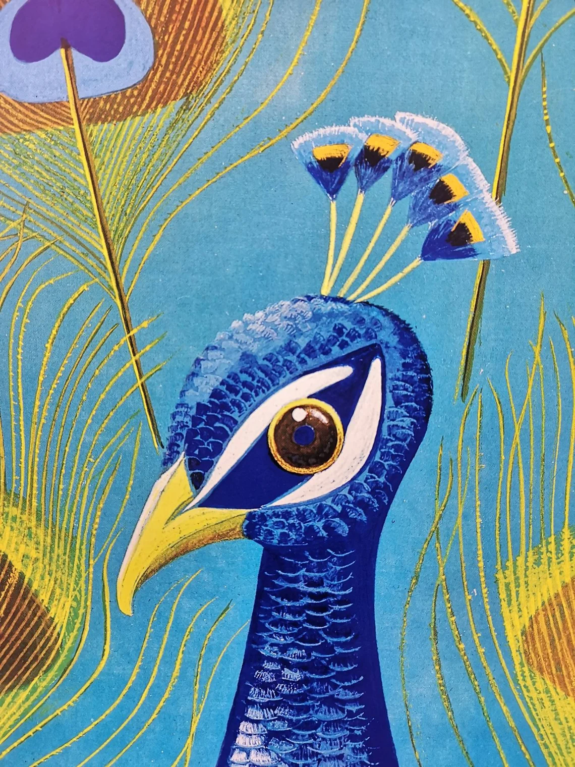 Vintage 1980s Tierpark Berlin Original Zoo Poster Advertising Of A Peacock