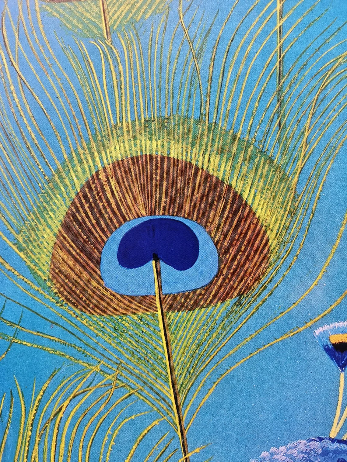 Vintage 1980s Tierpark Berlin Original Zoo Poster Advertising Of A Peacock