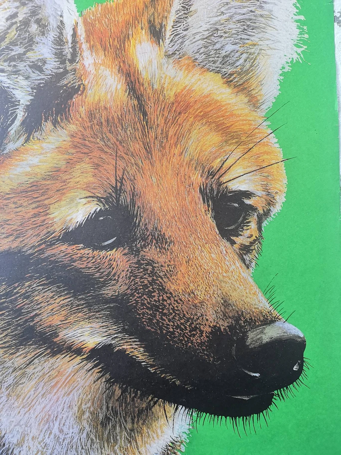 Vintage 1980s Tierpark Berlin Original Zoo Poster Advertising Of A Fox
