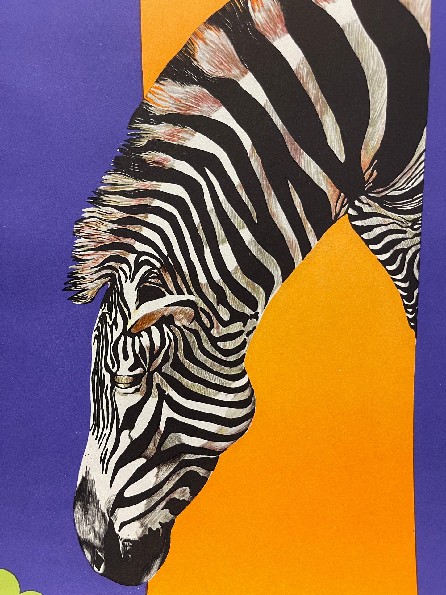 Vintage 1980s Tierpark Berlin Original Zoo Poster Advertising Of A Zebra