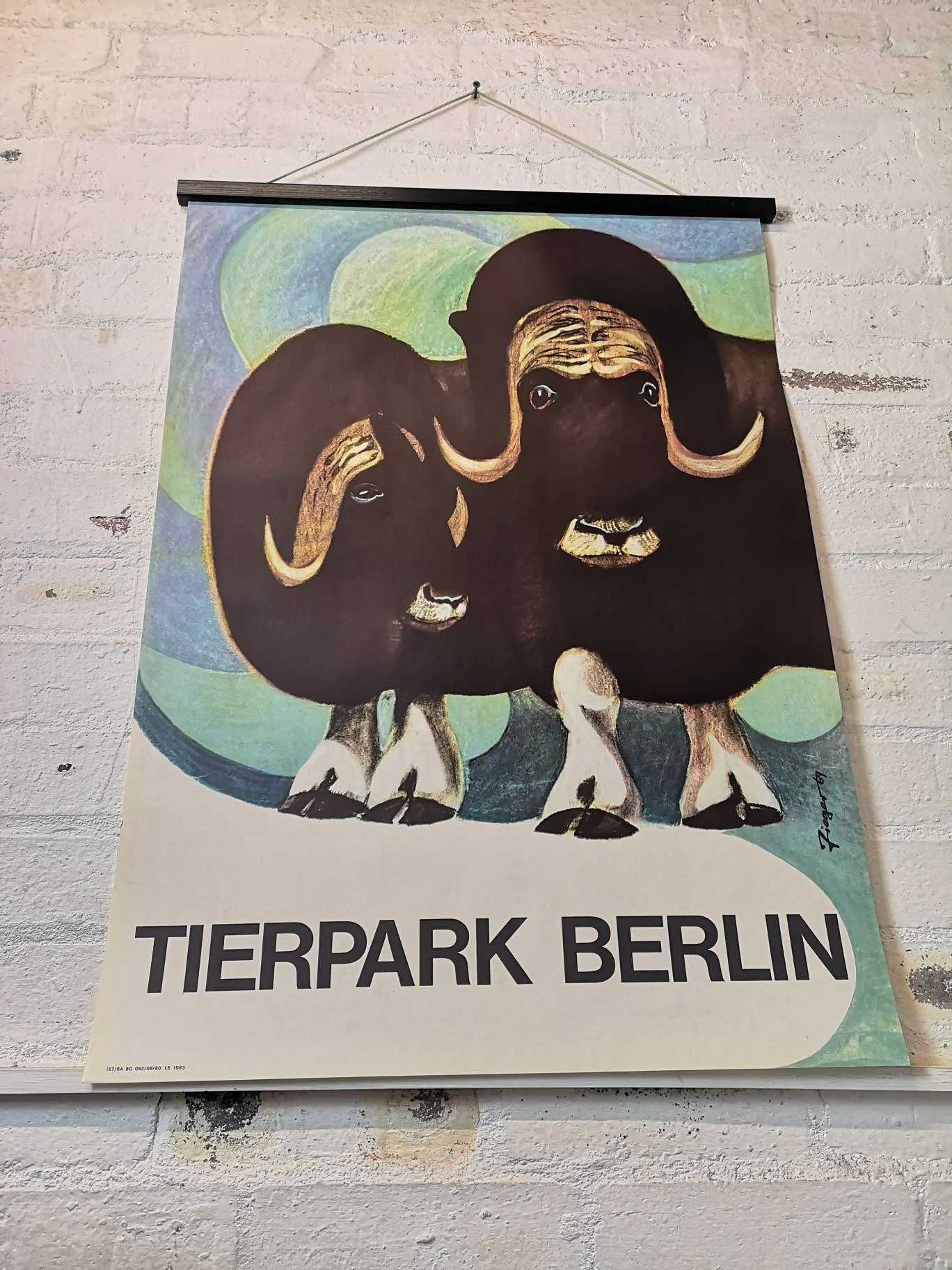 Vintage 1960s Tierpark Berlin Original Zoo Poster Advertising Of A Pair Of Musk Oxen
