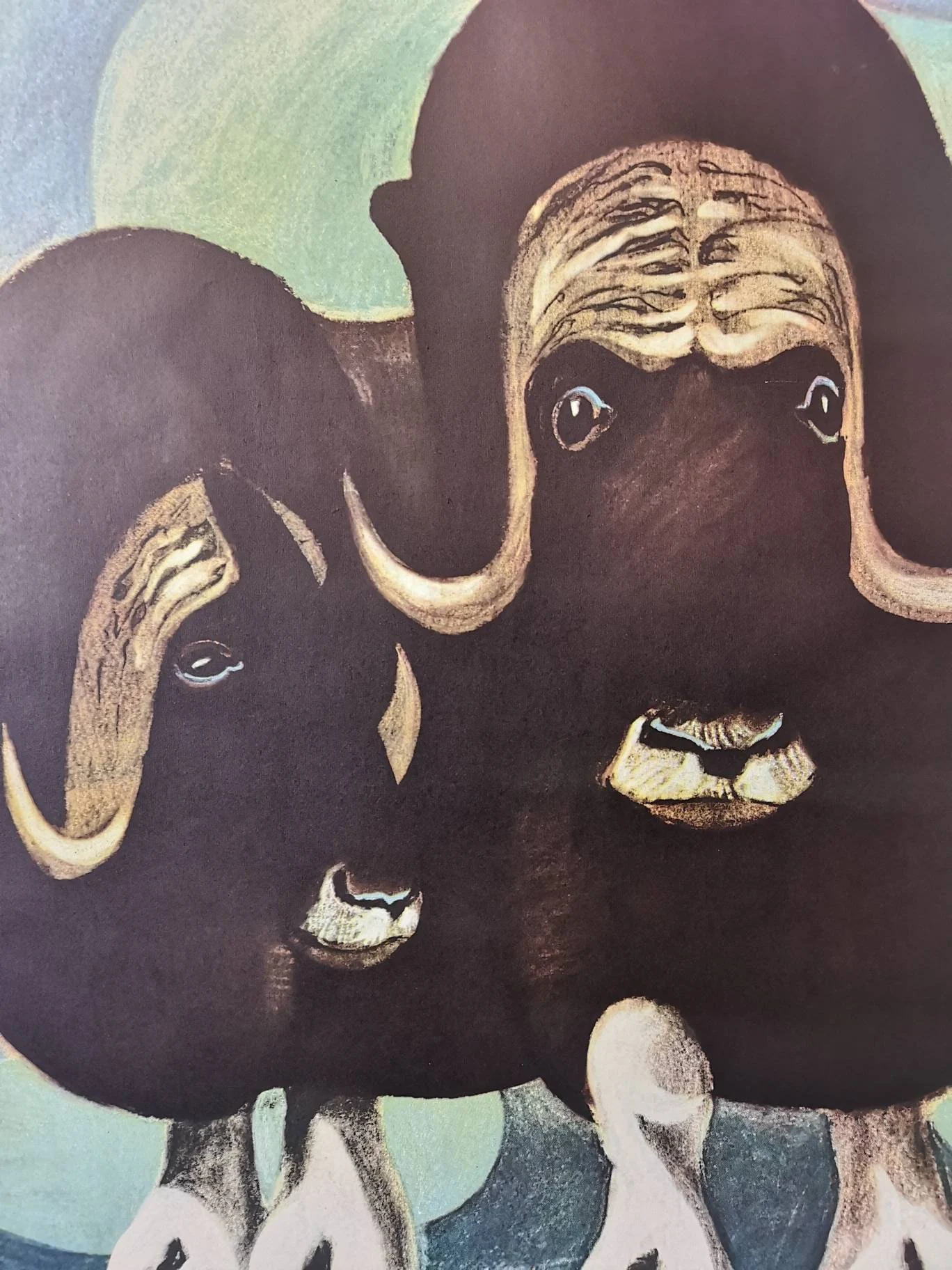 Vintage 1960s Tierpark Berlin Original Zoo Poster Advertising Of A Pair Of Musk Oxen