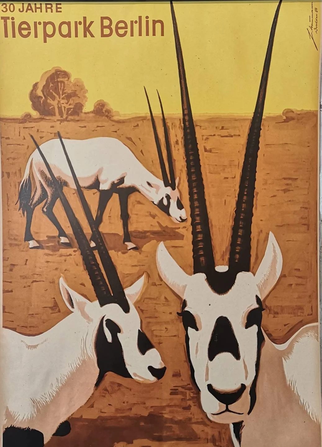 Vintage 1980s Tierpark Berlin Original Zoo Poster Advertising Of A Herd Of Ibex Celebrating 30 Years