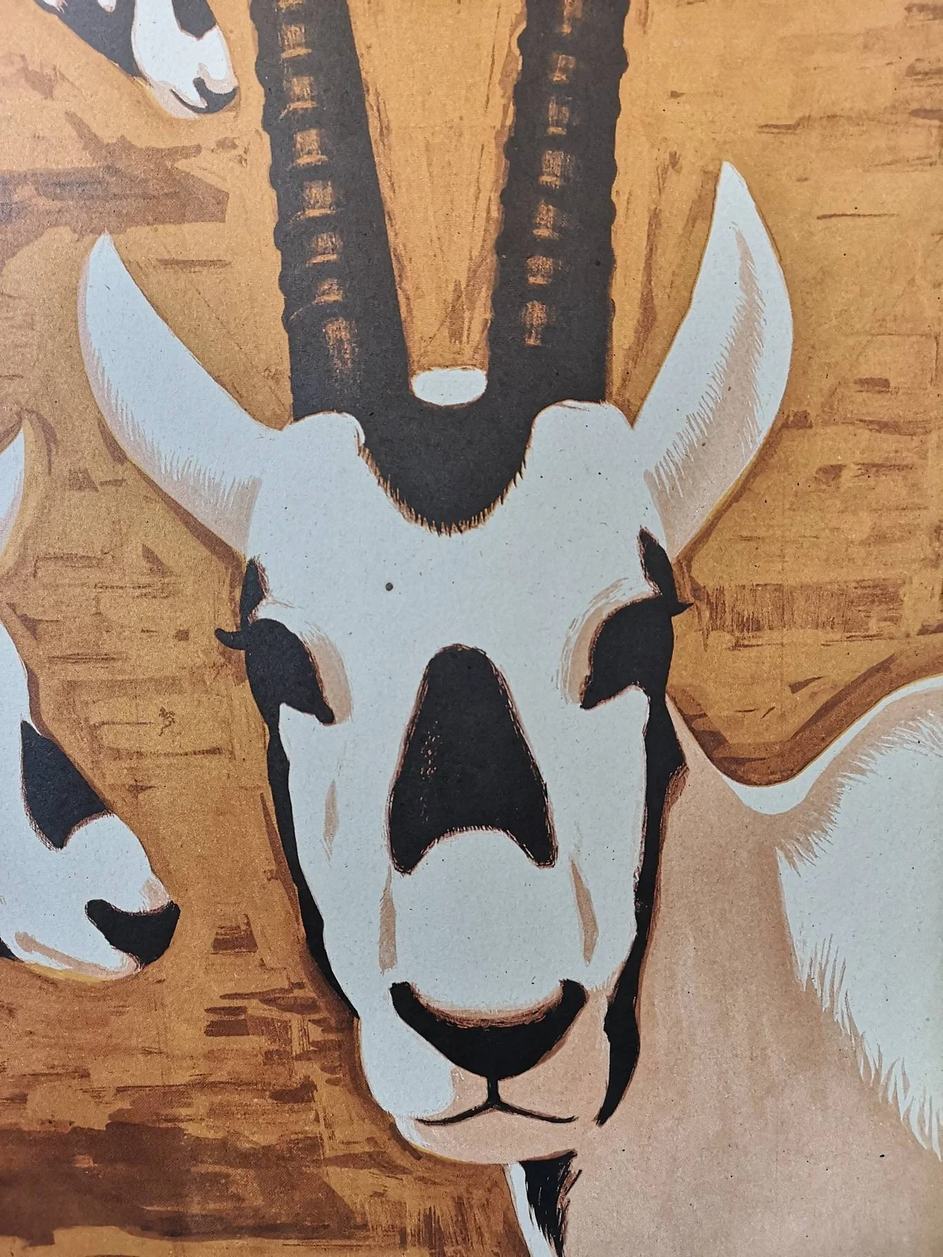 Vintage 1980s Tierpark Berlin Original Zoo Poster Advertising Of A Herd Of Ibex Celebrating 30 Years