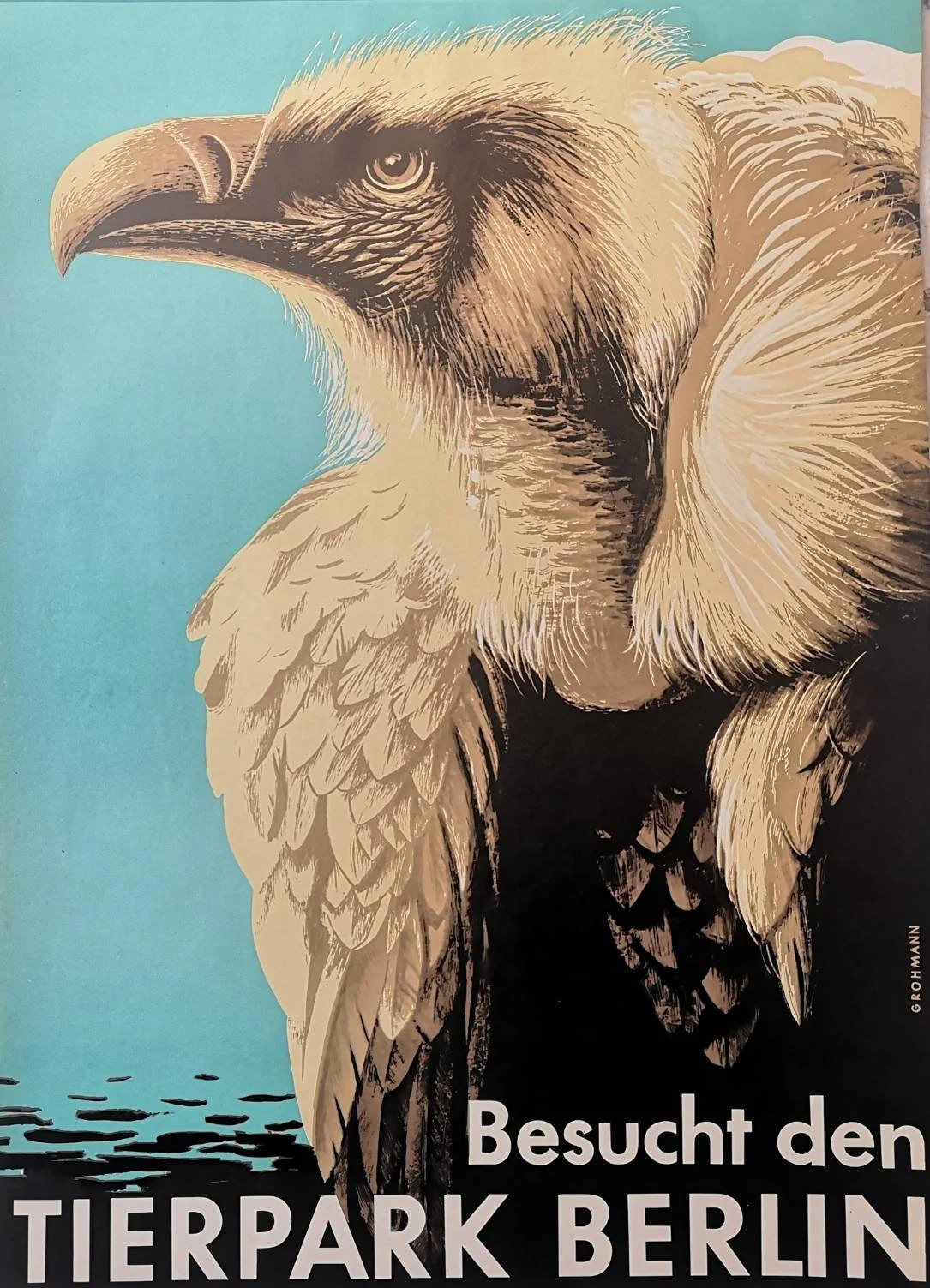 Vintage 1960s Tierpark Berlin Original Zoo Poster Advertising Of A Vulture