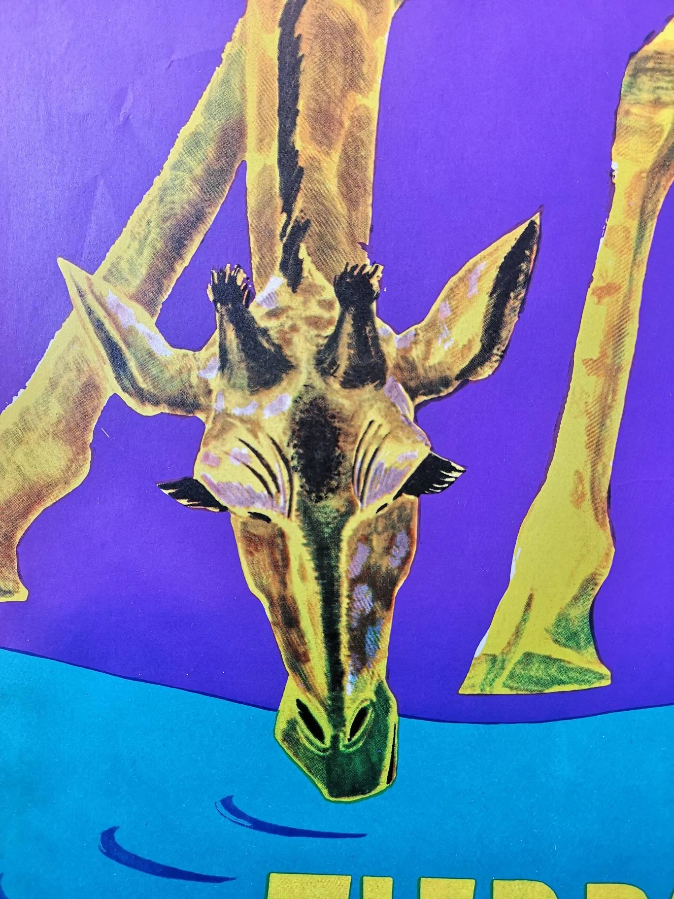 Vintage 1970s Tierpark Berlin Original Zoo Poster Advertising Of A Giraffe