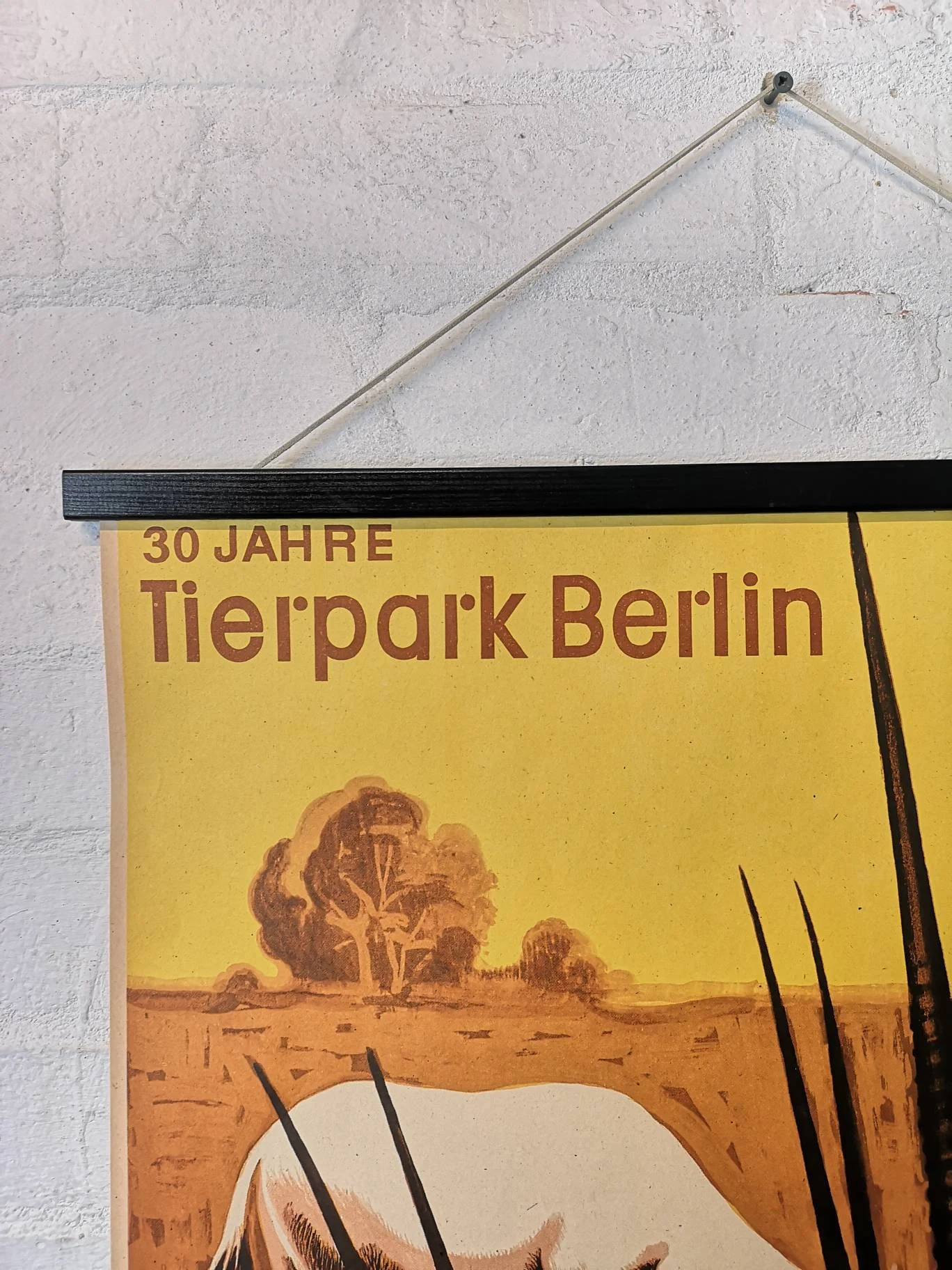 Vintage 1980s Tierpark Berlin Original Zoo Poster Advertising Of A Herd Of Ibex Celebrating 30 Years
