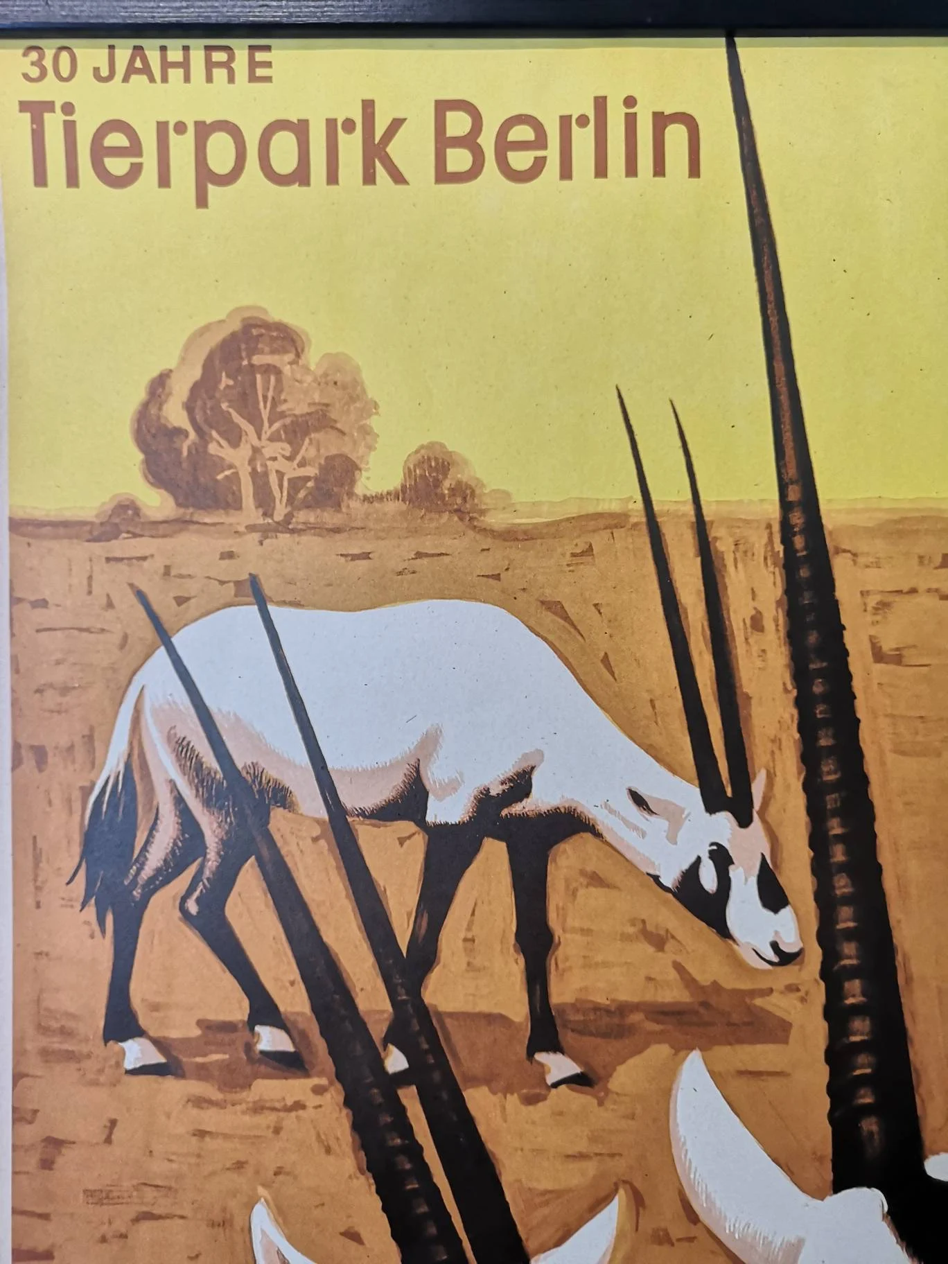 Vintage 1980s Tierpark Berlin Original Zoo Poster Advertising Of A Herd Of Ibex Celebrating 30 Years