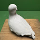 Ceramic Pigeon By Renowned Design Ceramicist Saliha Kartal