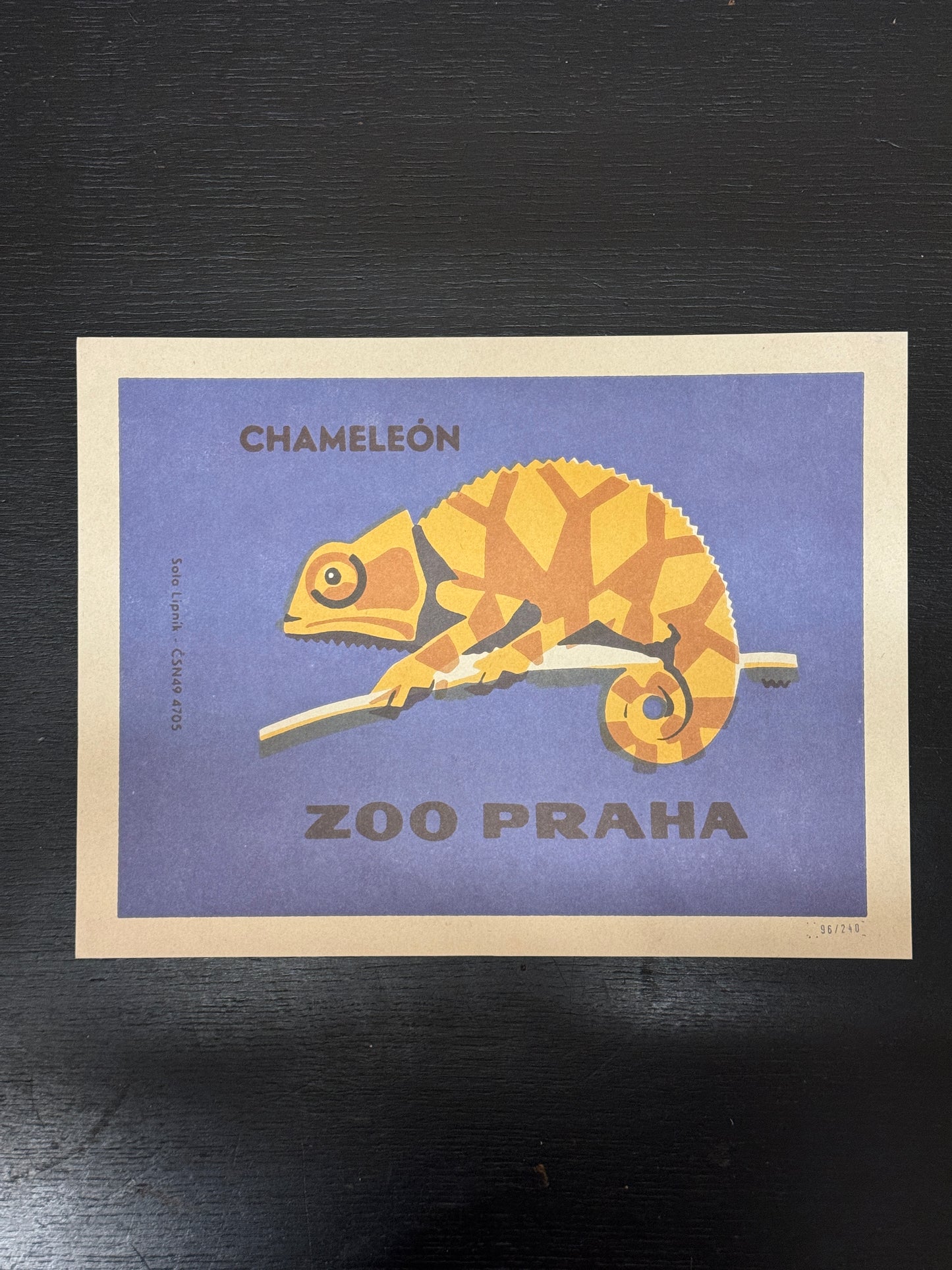 Limited Edition Czech Match Box Art Poster 96 of 240 Zoo Praha Chameleon