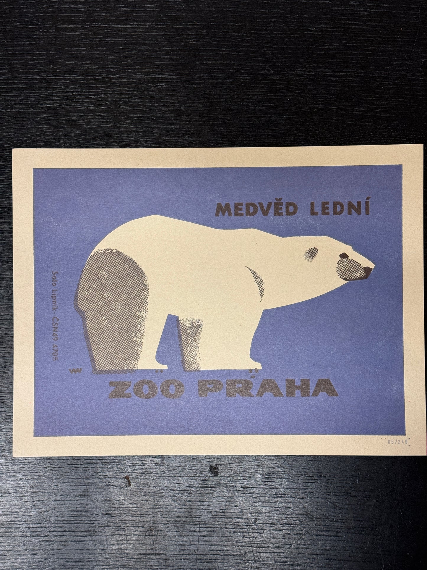 Limited Edition Czech Match Box Art Poster 85 of 240 Zoo Praha Polar Bear