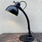 Rare 1930s Bauhaus Desk Lamp By Dr. Ing. Schneider & Co