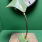 1950s Cosack Cobra Table Lamp By Gecos - Gebrüder Cosack Ligting Germany