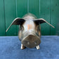 Large Hand Made Brass Piggy Bank English 1920s