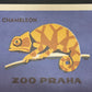 Limited Edition Czech Match Box Art Poster 96 of 240 Zoo Praha Chameleon