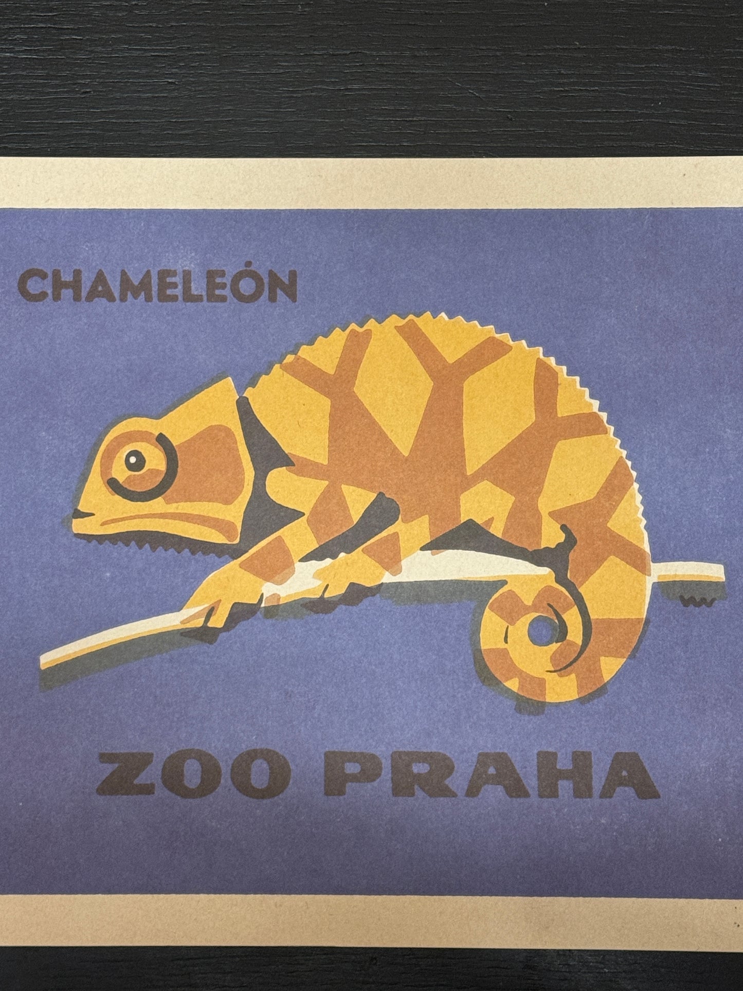 Limited Edition Czech Match Box Art Poster 96 of 240 Zoo Praha Chameleon