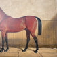 Late 1800s Oil Painting Bay Horse In A Stable