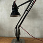 Herbert Terry 2 Step The 1227 Anglepoise Table Lamp