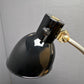 Rare 1930s Bauhaus Desk Lamp By Dr. Ing. Schneider & Co