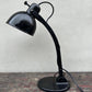 Rare 1930s Bauhaus Desk Lamp By Dr. Ing. Schneider & Co