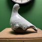 Ceramic Pigeon By Renowned Design Ceramicist Saliha Kartal