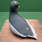 Ceramic Pigeon By Renowned Design Ceramicist Saliha Kartal