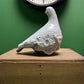 Ceramic Pigeon By Renowned Design Ceramicist Saliha Kartal