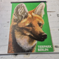 Vintage 1980s Tierpark Berlin Original Zoo Poster Advertising Of A Fox