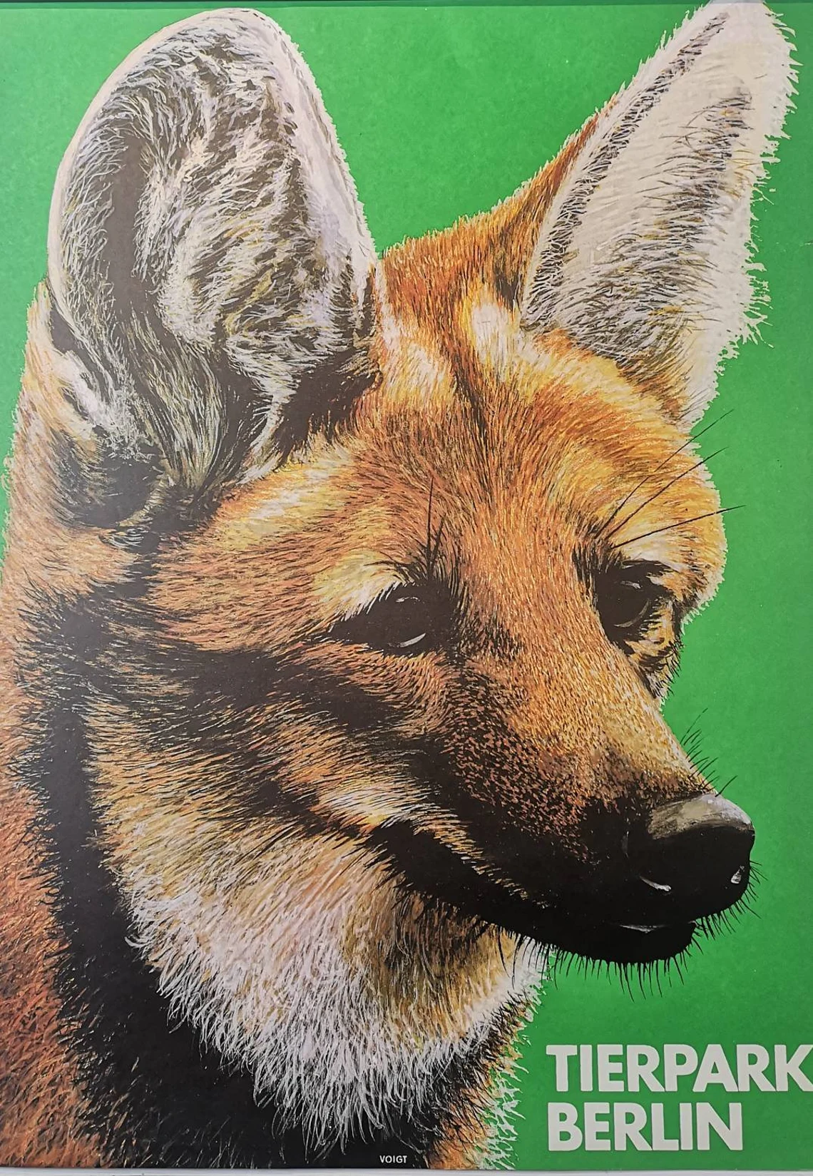 Vintage 1980s Tierpark Berlin Original Zoo Poster Advertising Of A Fox