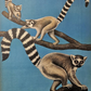 Vintage 1970s Tierpark Berlin Original Zoo Poster Advertising Of Lemars