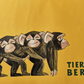 Vintage 1970s Tierpark Berlin Original Zoo Poster Advertising Of Baby Chimpanzees