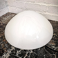 Opaline Wall Lights By Wilhelm Wagenfeld 1950s