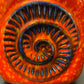 1960s West German Pottery Fossil Vase By Bay 80/25